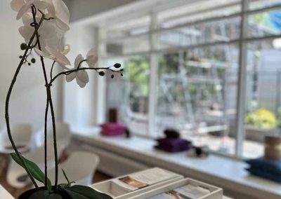 Schaufenster mit Fokus auf Orchidee und Flyern