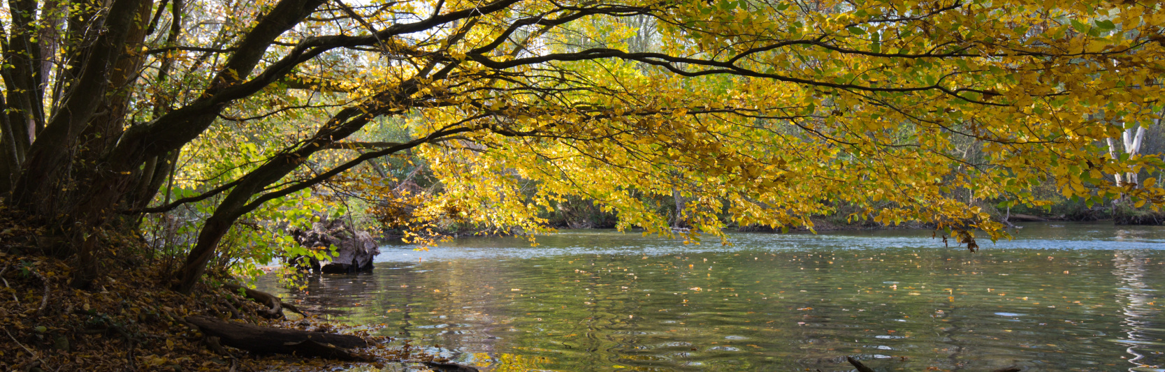 Naturschutzgebiet mit weiter Landschaft